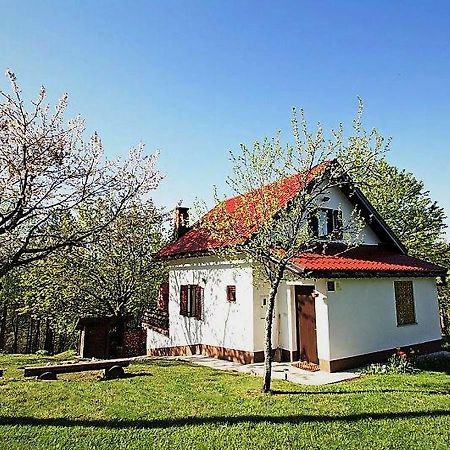 Holiday Home Coprnicka Hisa Skrad Экстерьер фото